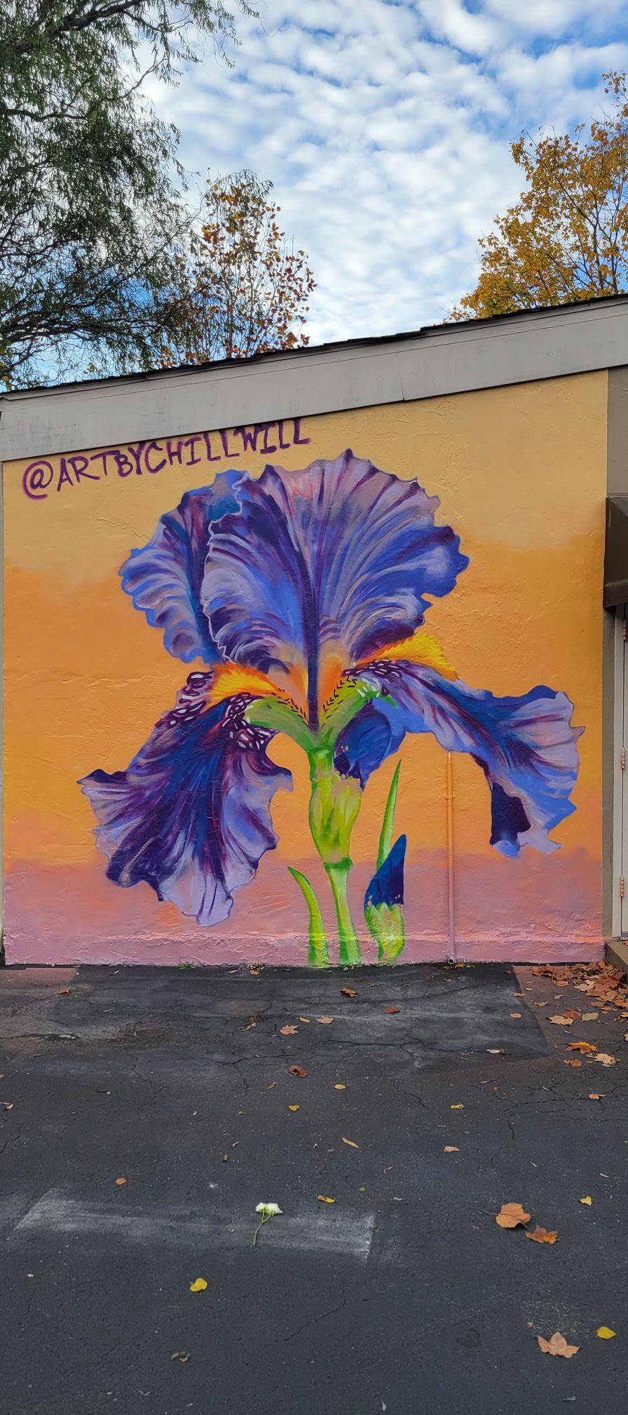 Floral mural on the side of Bellevue Florist by Chill Will