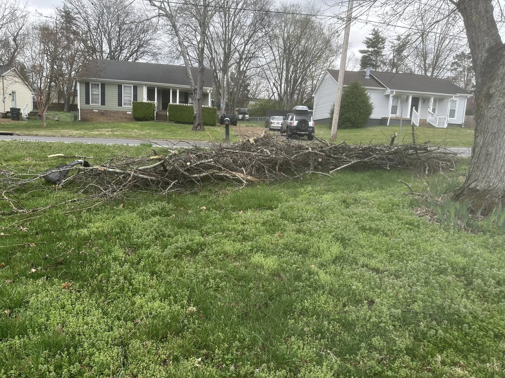 Scattered debris and tire tracks through yard on Beech Bend Drive