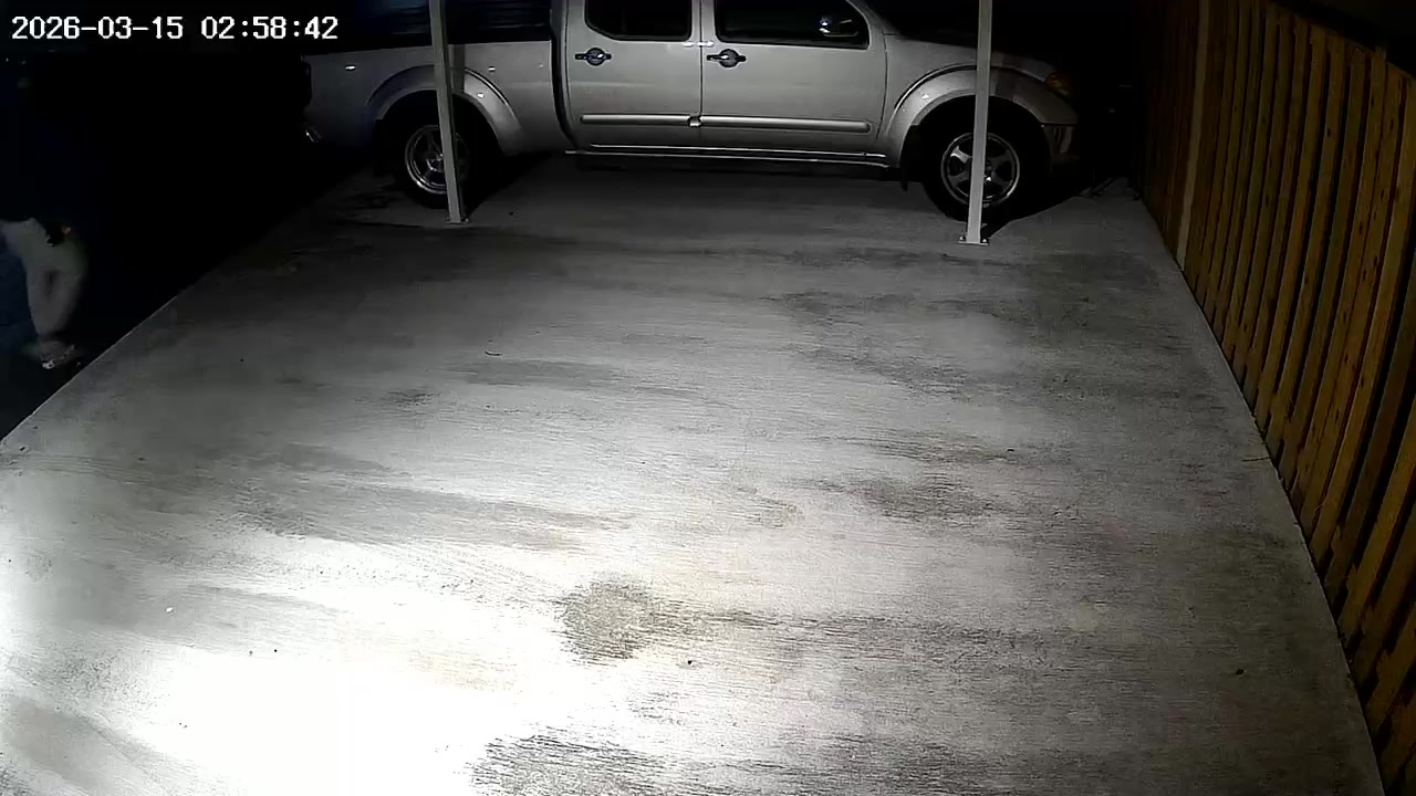 Ring camera footage of carport prowler